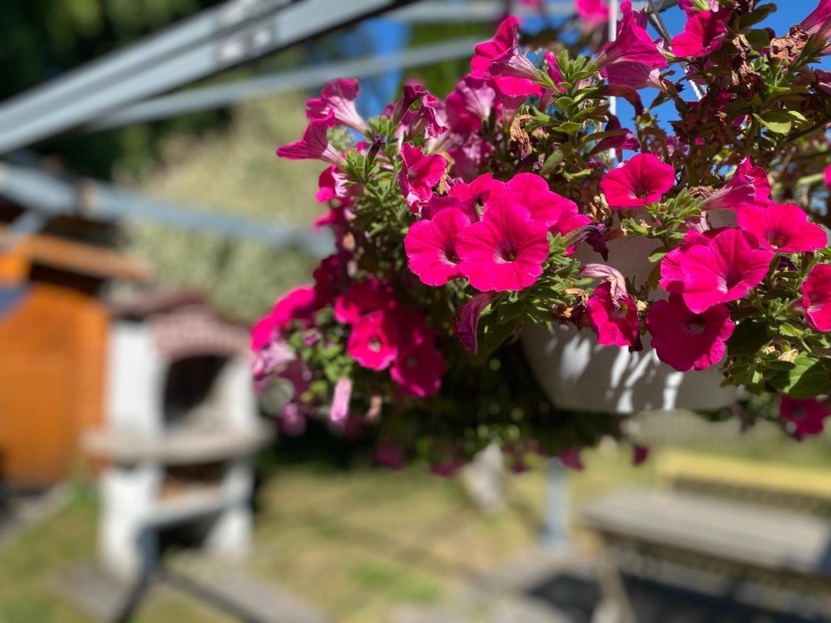 Ferienwohnung Am Franziskanergarten Bad Tölz Exterior foto
